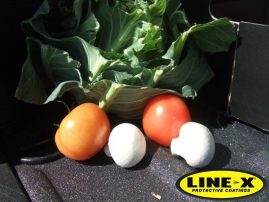 LINE-X food_safe van lining