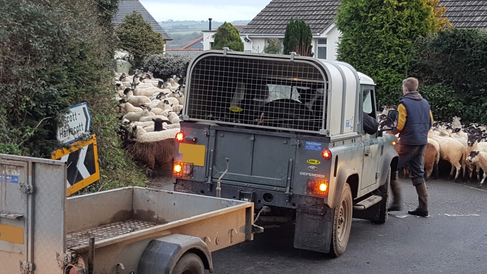 Land-rover-in-acton-north-devon